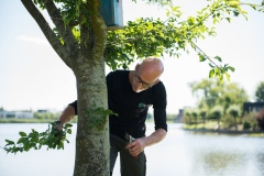Sip-Jan-Tuinen-Onderhoud-9