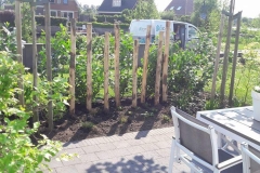 borders-2